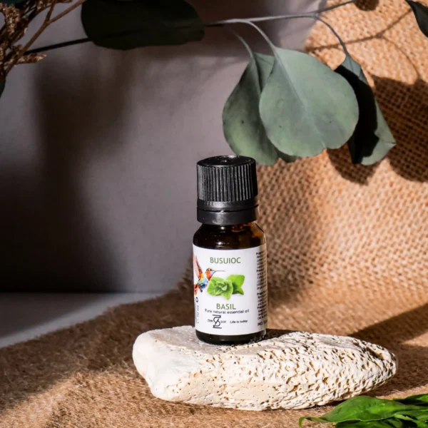 Basil - 100% Natural and Pure Essential Oil | Zenisof, 10 ml
