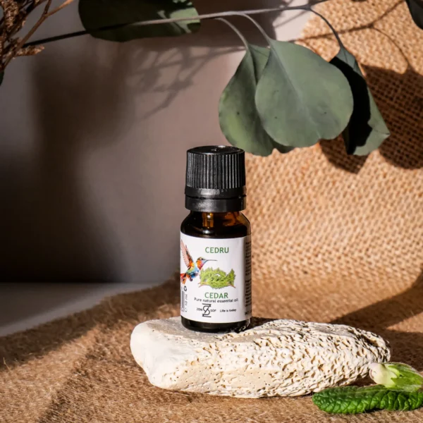 Cedar - 100% Natural and Pure Essential Oil | Zenisof, 10 ml