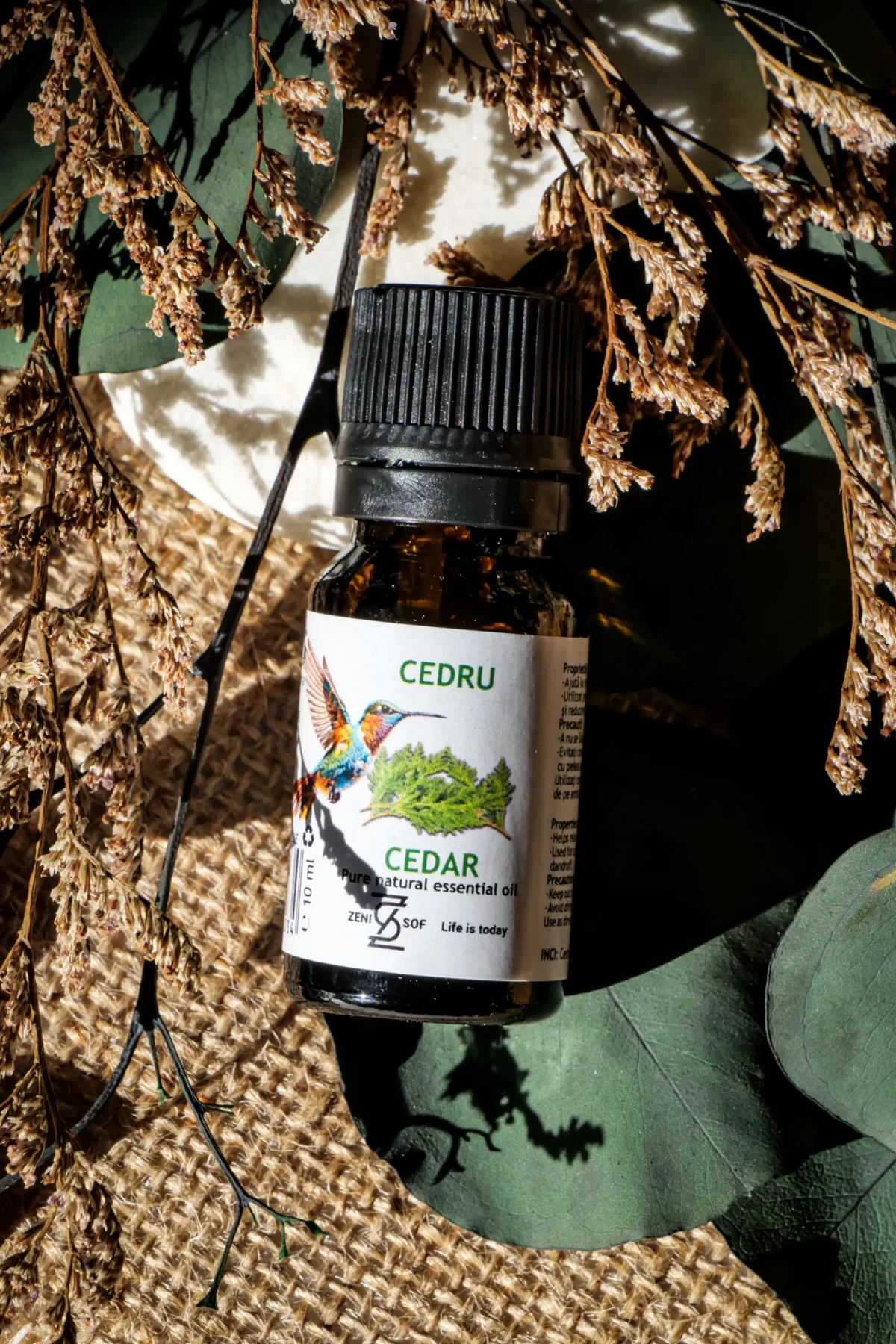 Cedar - 100% Natural and Pure Essential Oil | Zenisof, 10 ml - Image 2