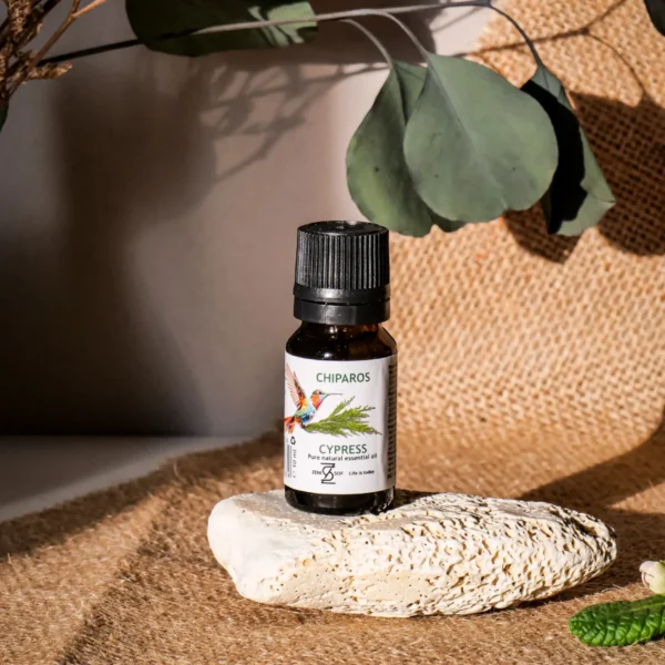 Cypress - 100% Natural and Pure Essential Oil | Zenisof, 10 ml