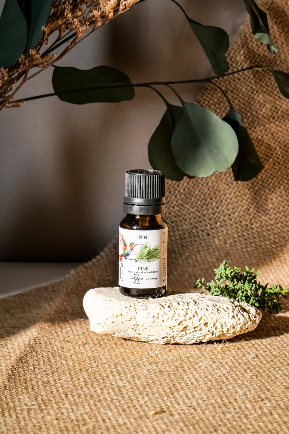 Pine Essential Oil – 100% Pure & Natural | Zenisof, 10 ml - Image 1