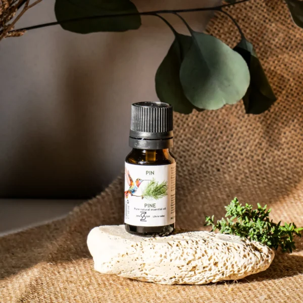 Pine Essential Oil – 100% Pure & Natural | Zenisof, 10 ml