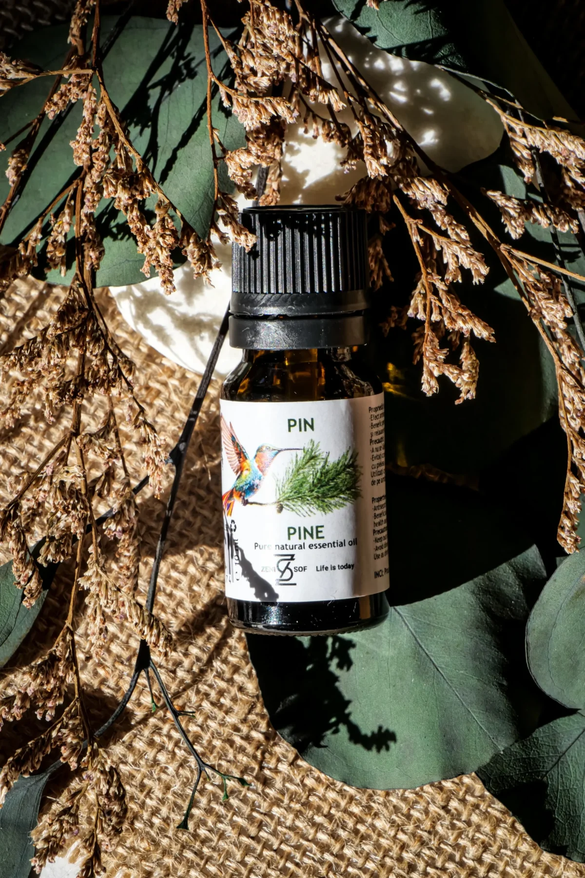 Pine Essential Oil – 100% Pure & Natural | Zenisof, 10 ml - Image 2